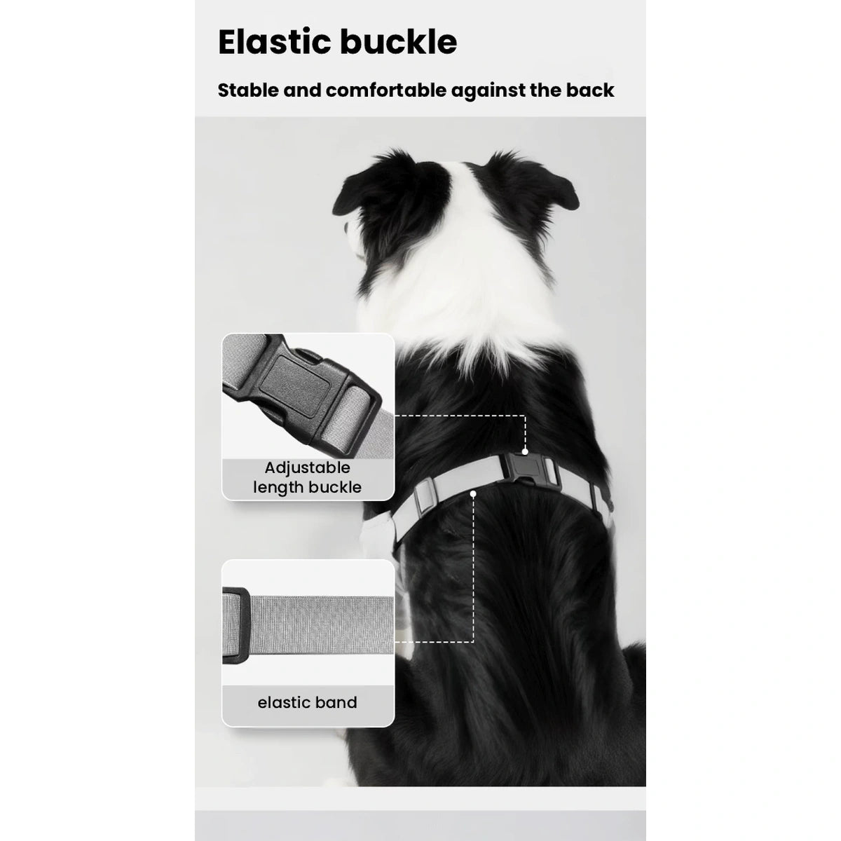 Dog wearing grey elbow sleeves with adjustable back strap