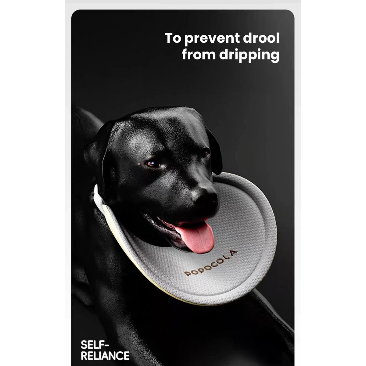 Large black dog wearing a POPOCOLA drool bib