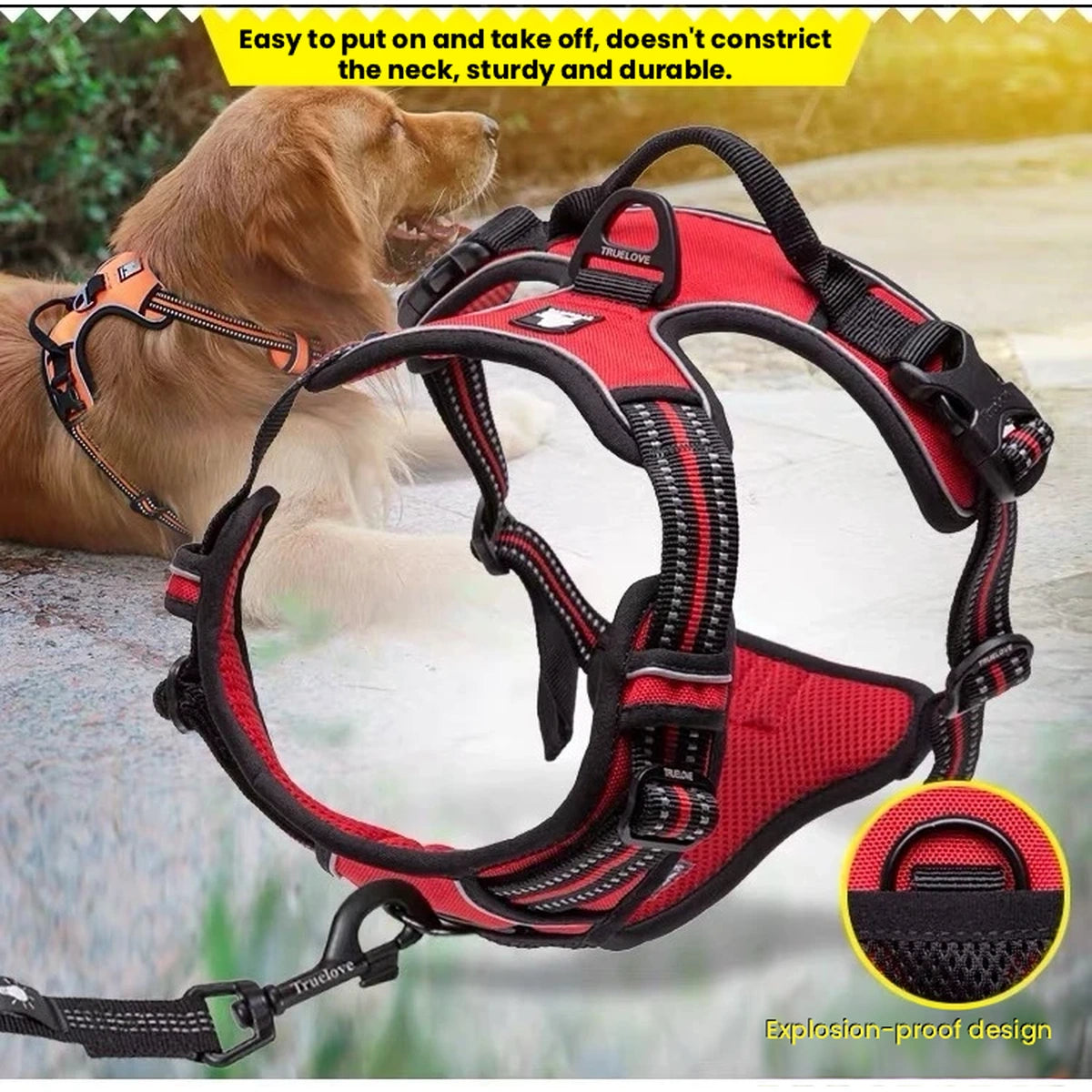 Dog wearing a red Truelove TLH5651 harness
