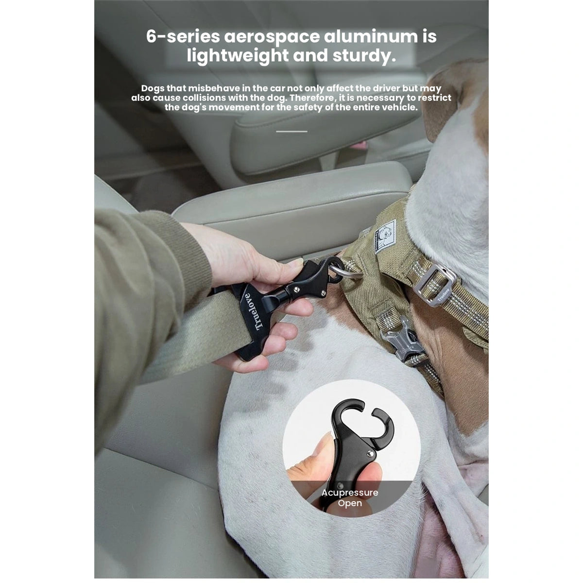 Dog harness connected to Truelove belt attachment in a car