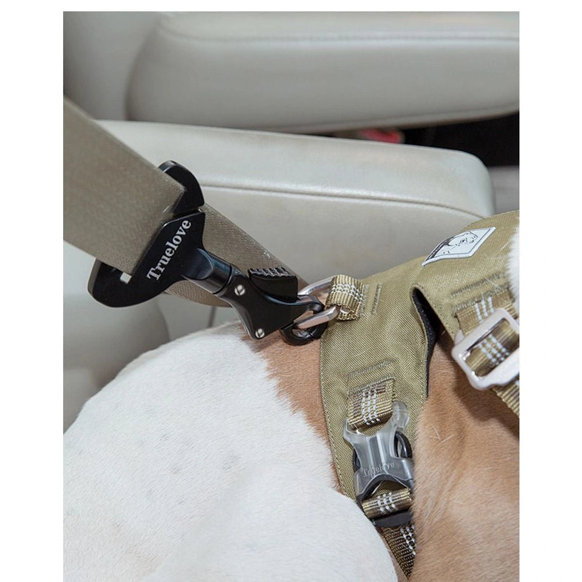 Close-up of Truelove attachment connected to a dog harness