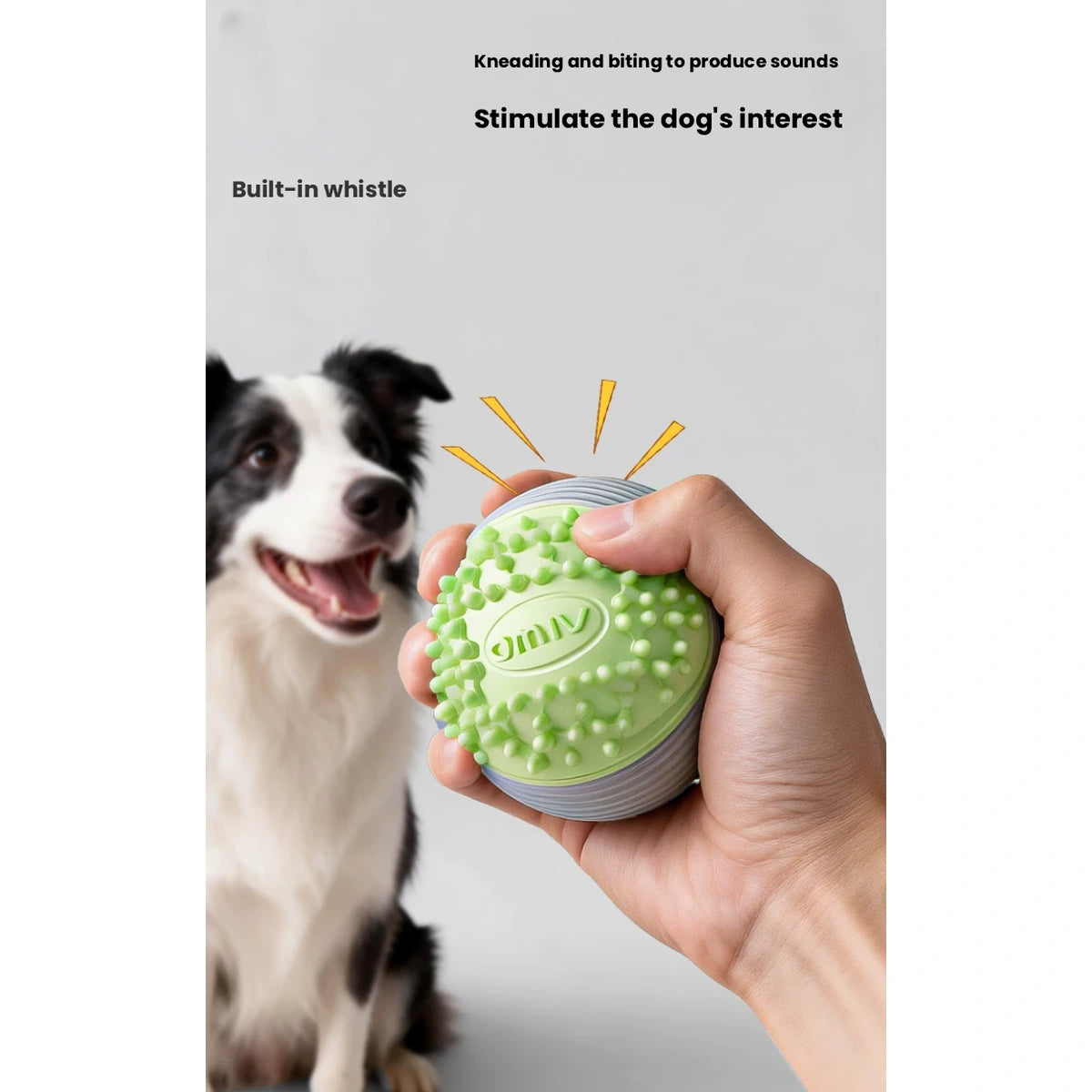 Dog beside a hand holding the green dog ball