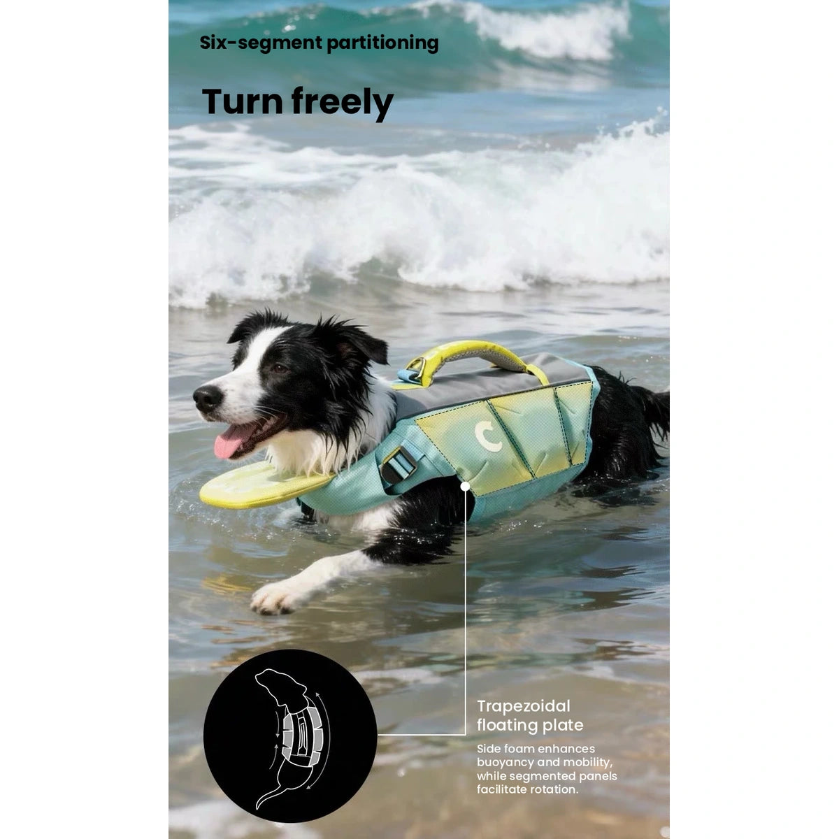 Dog wearing buoyant vest while swimming