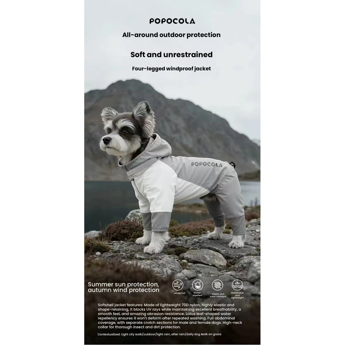 Dog wearing grey hooded raincoat outdoors