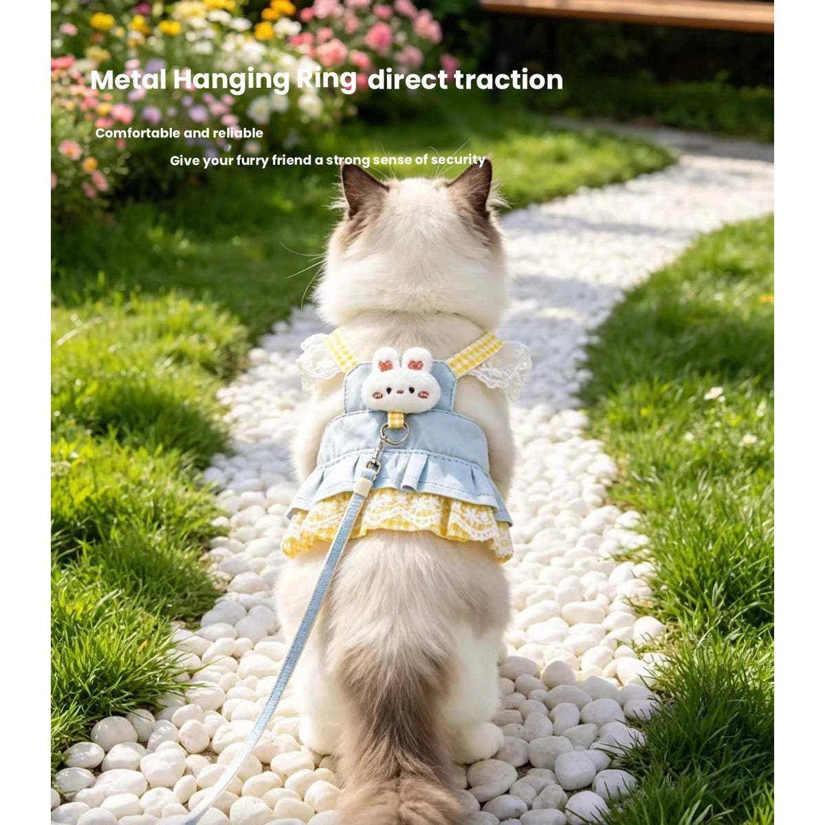 Cat wearing blue vest harness in a garden