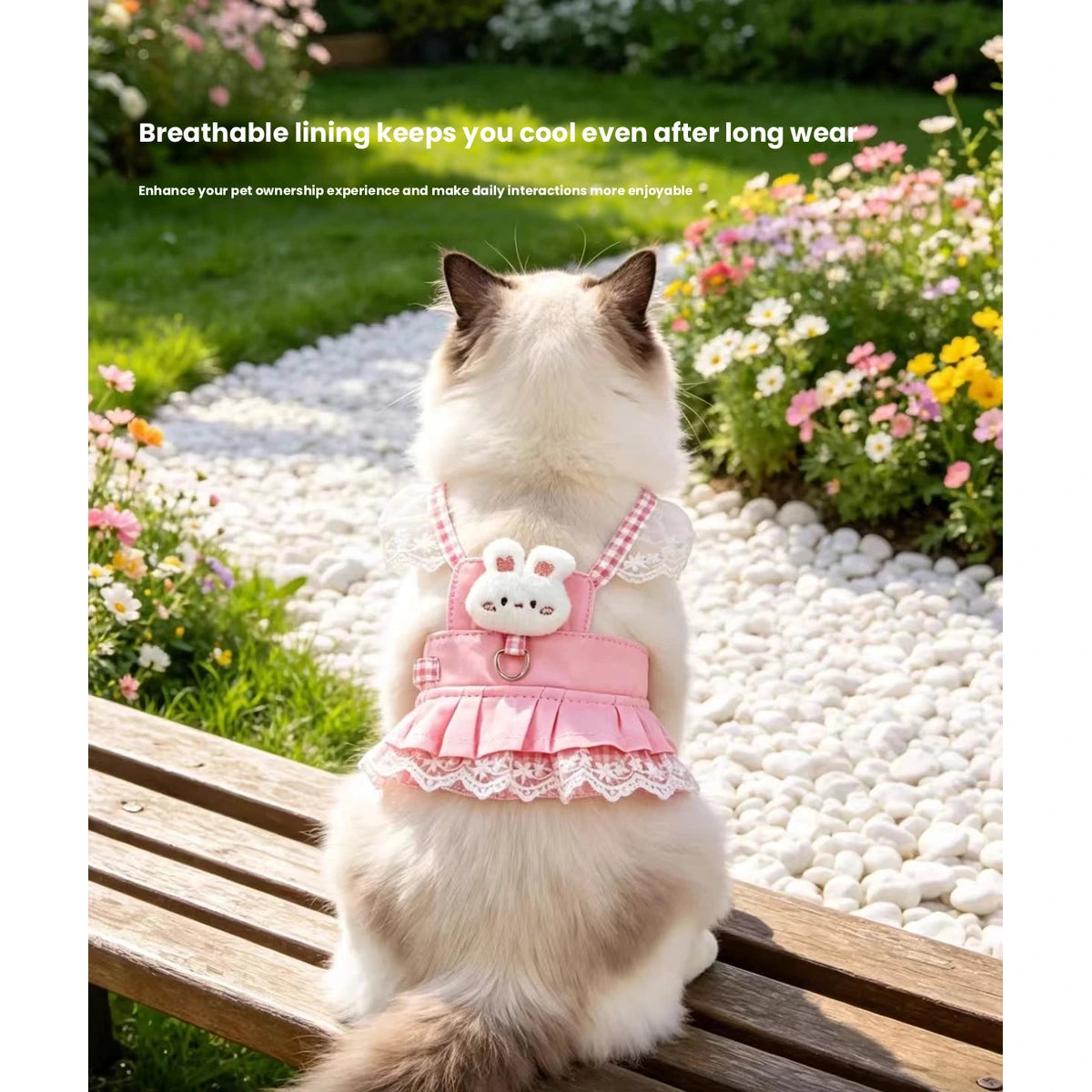 Cat wearing pink vest harness outdoors