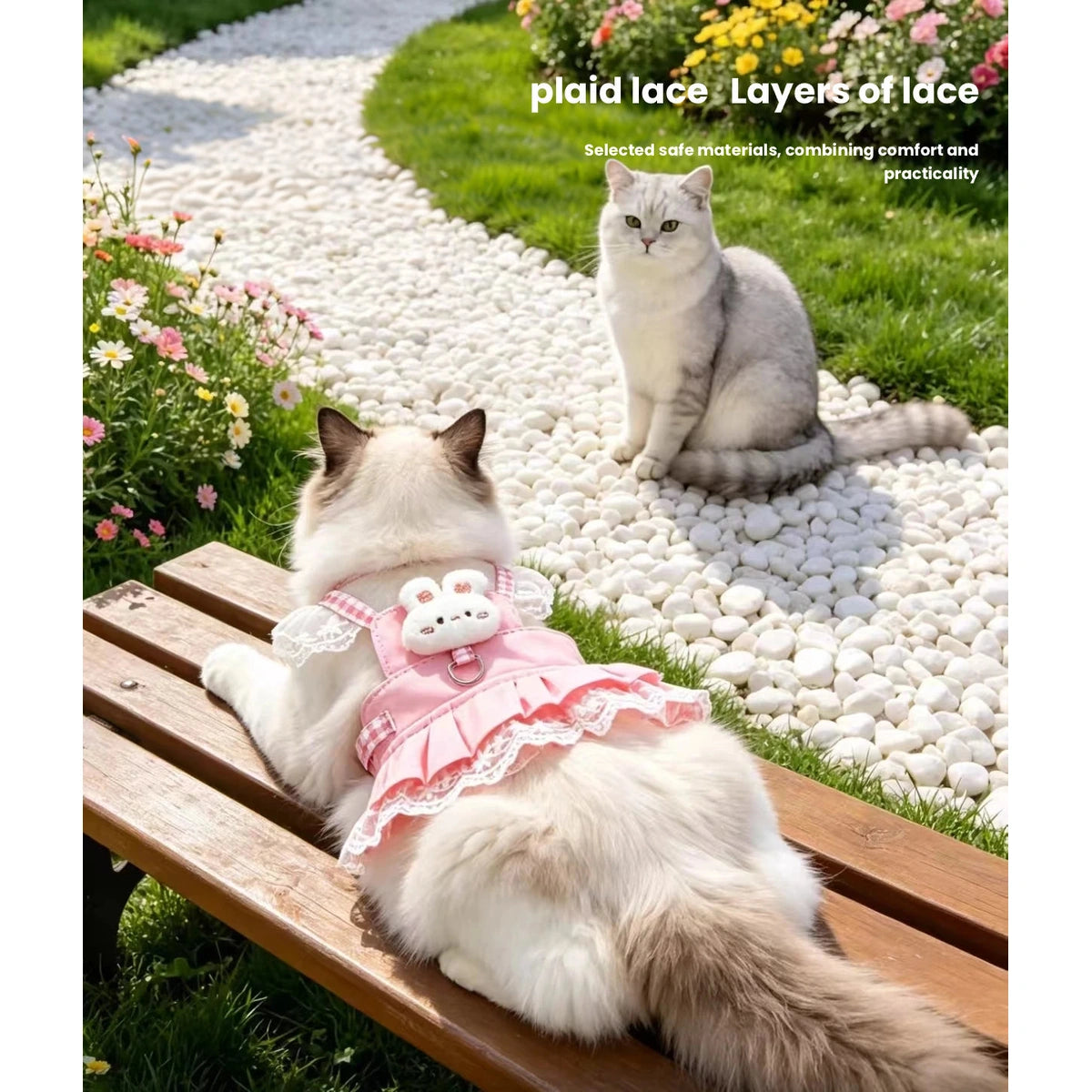 Two cats wearing pink and blue vest harnesses