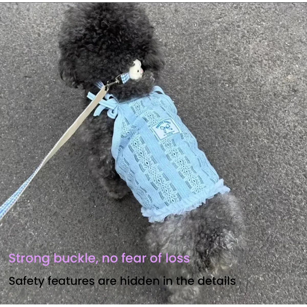 Dog wearing blue checked pet harness outdoors