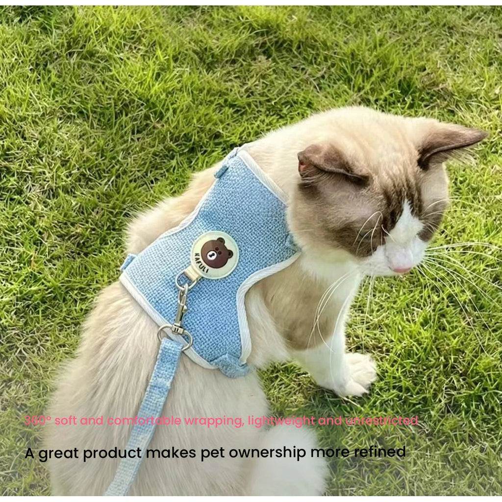 Cat wearing blue vest harness on grass