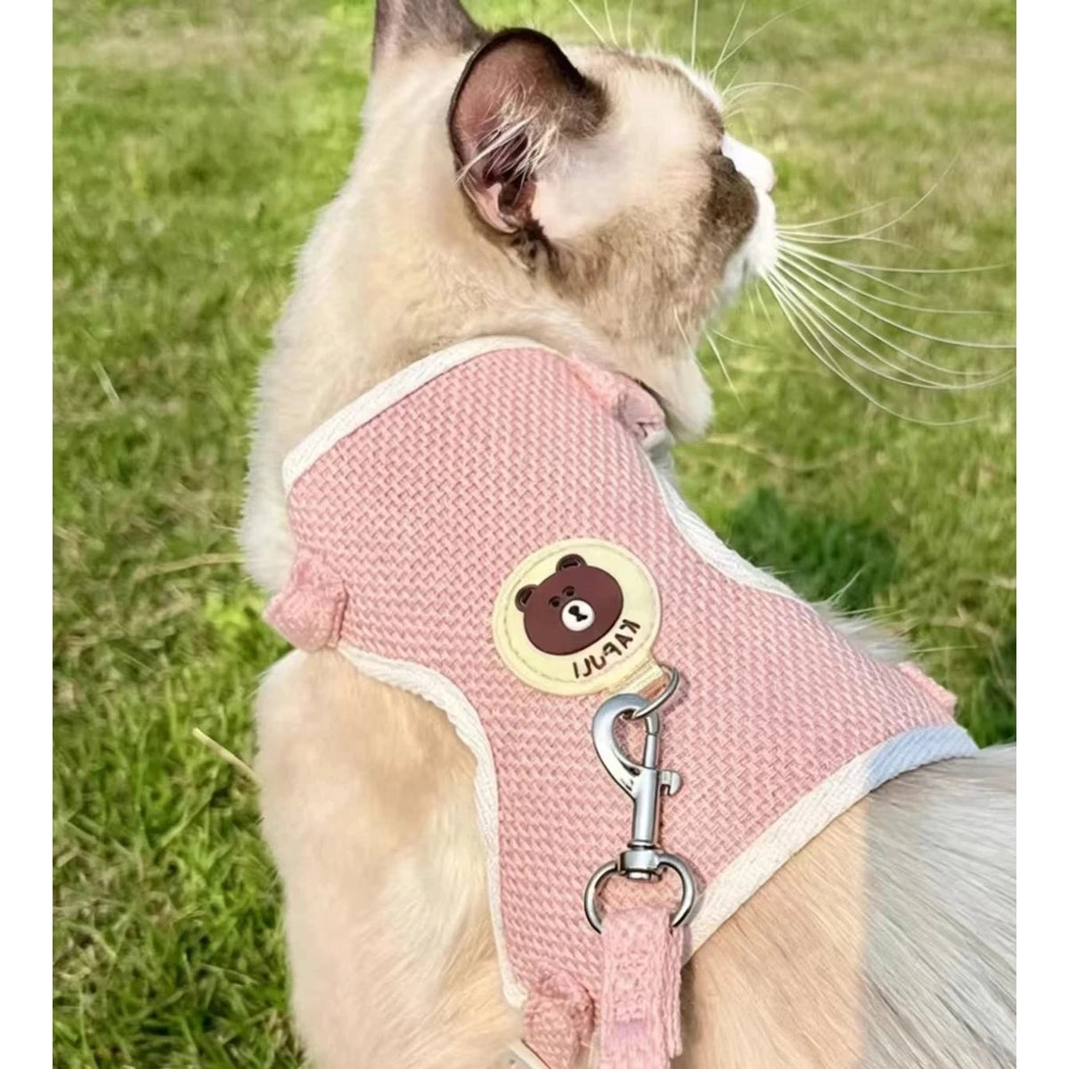 Cat wearing pink vest harness on grass