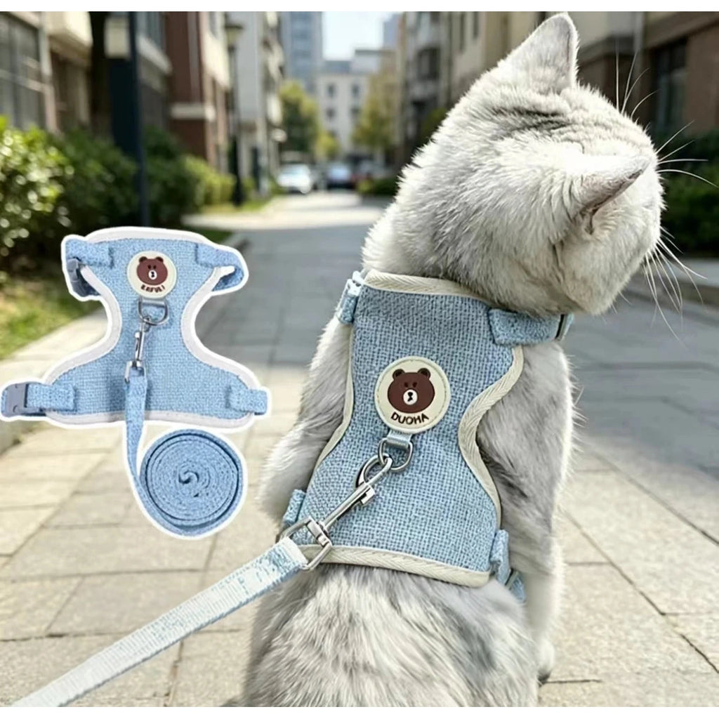 Cat wearing blue vest harness outdoors