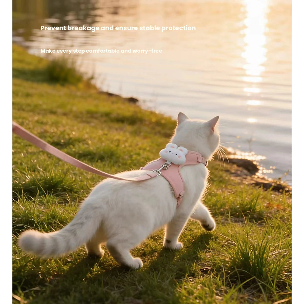 Cat wearing pink harness beside water