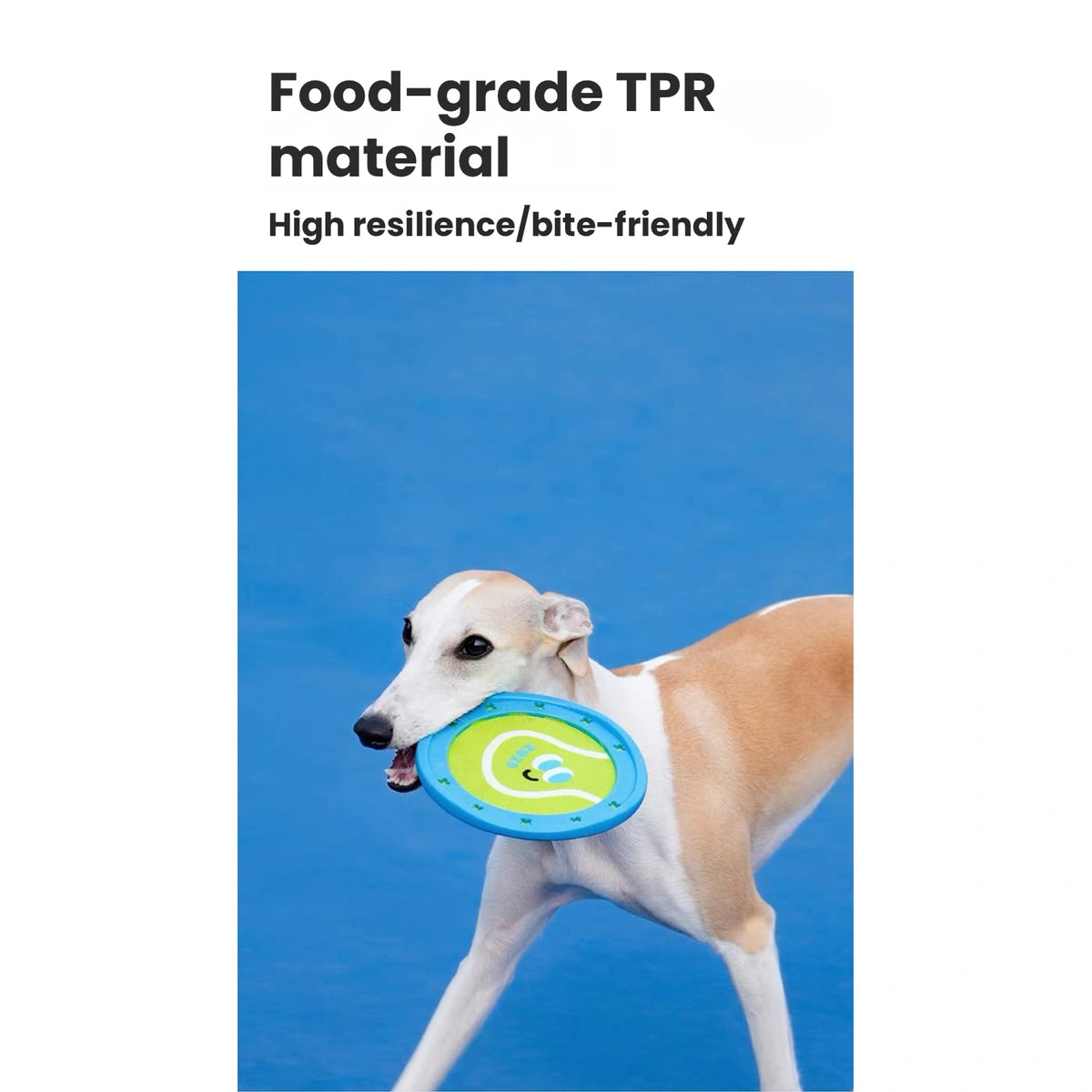 Dog carrying blue and green ZEZE disc