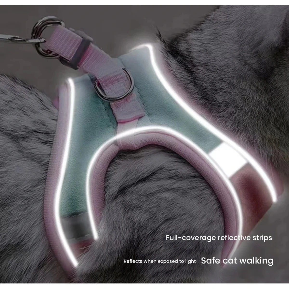 Reflective trim on harness in low light
