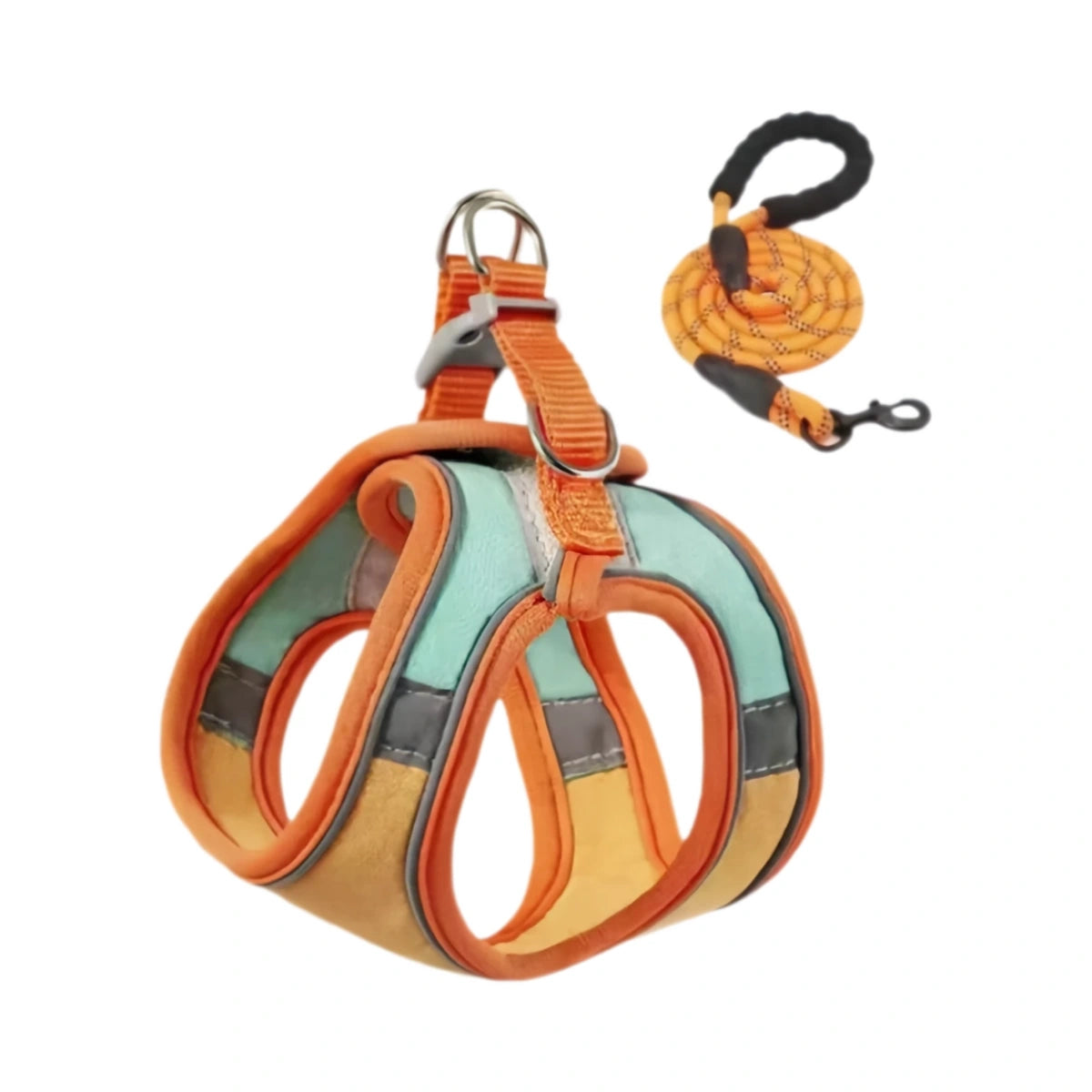 Orange cat harness with matching leash