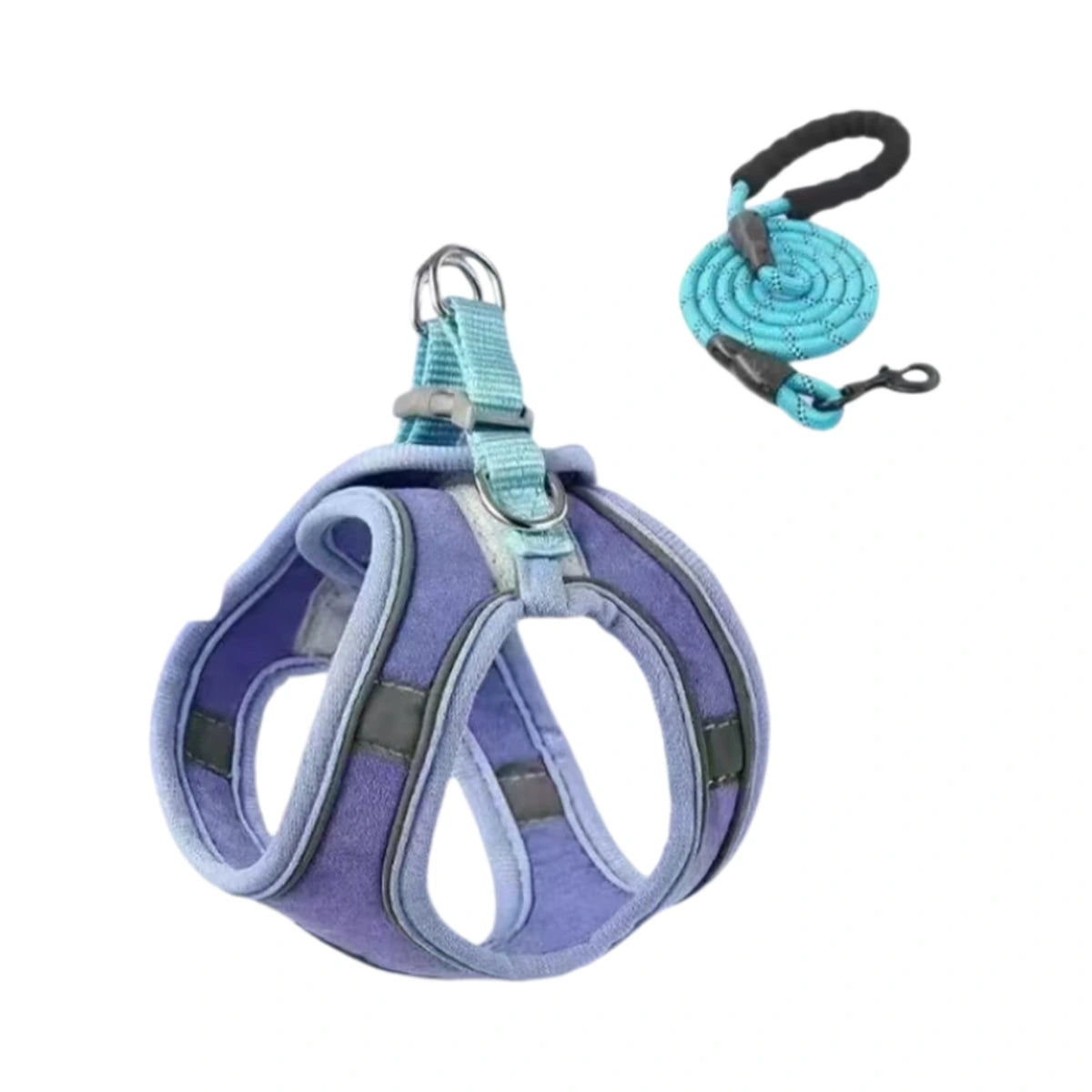 Blue cat harness with matching leash