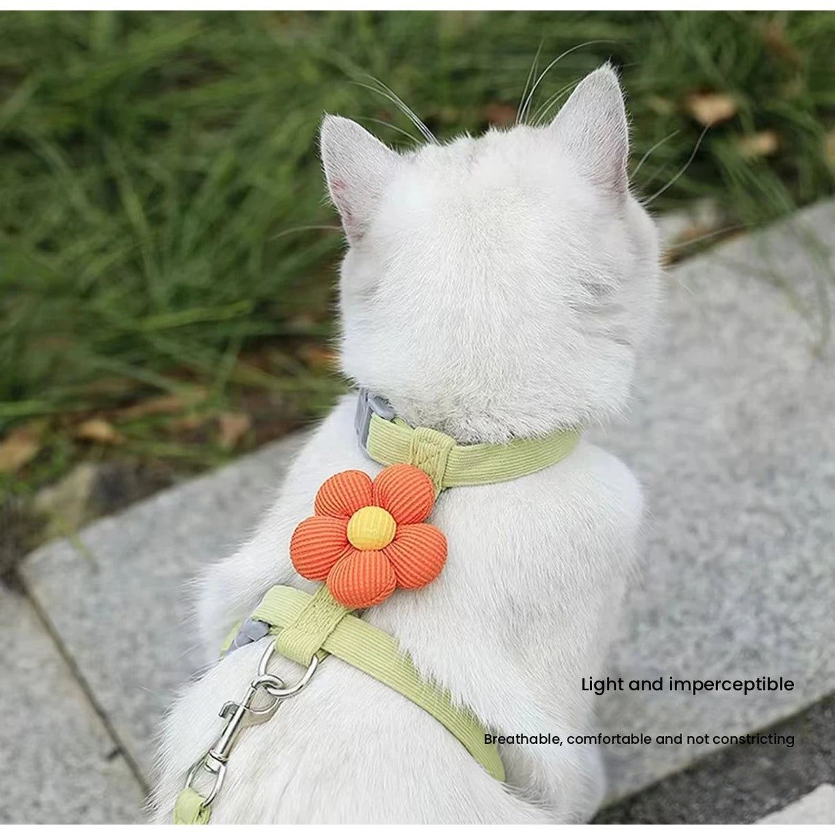 White cat wearing green flower harness