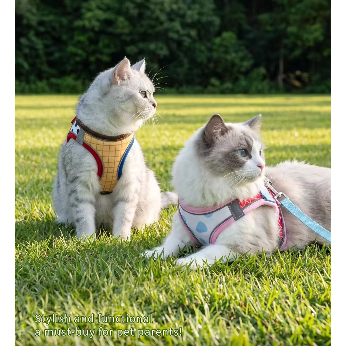 Two cats wearing colourful strap harnesses