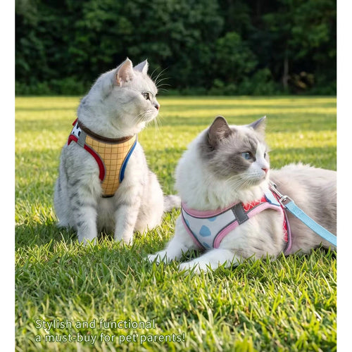 Two cats wearing colourful strap harnesses
