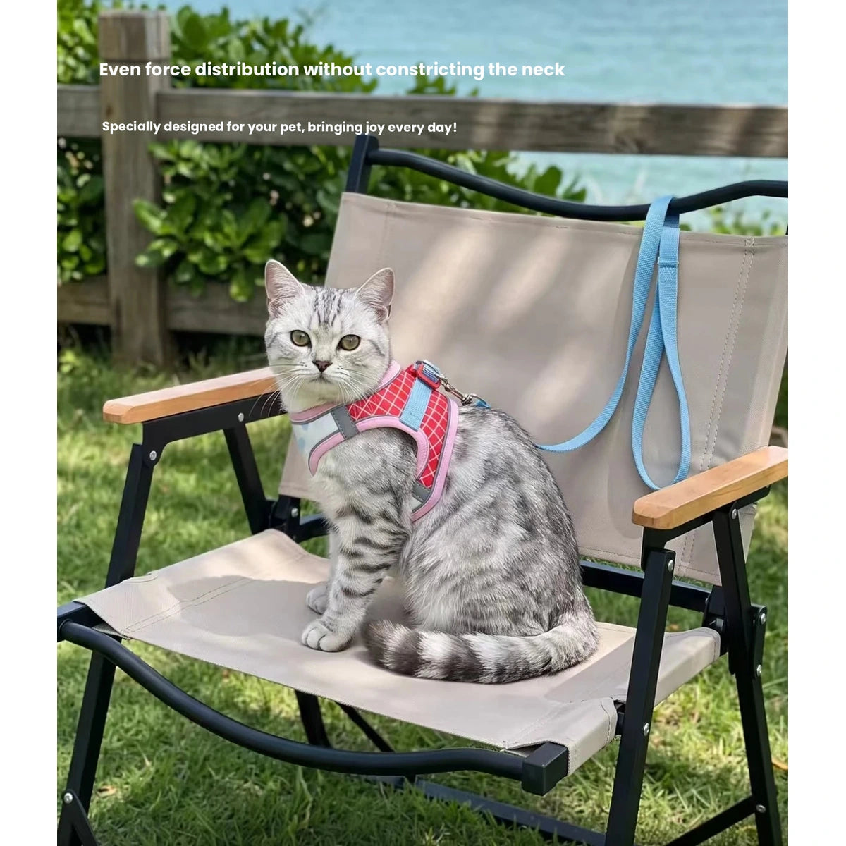 Cat wearing red strap harness outdoors