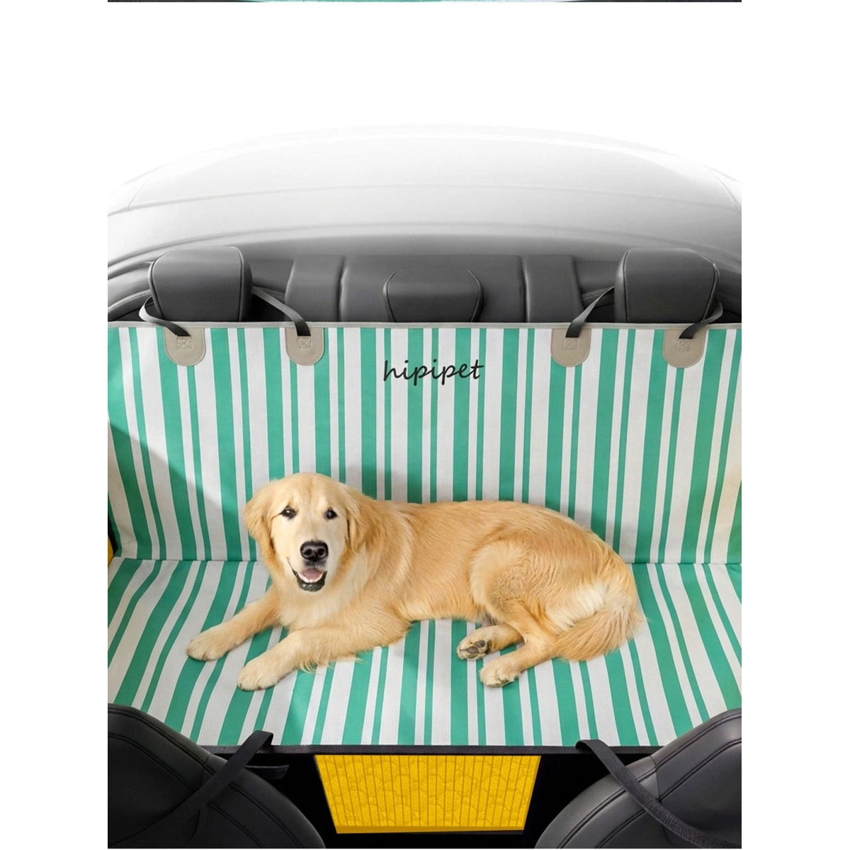 Golden retriever lying on striped rear-seat dog cover