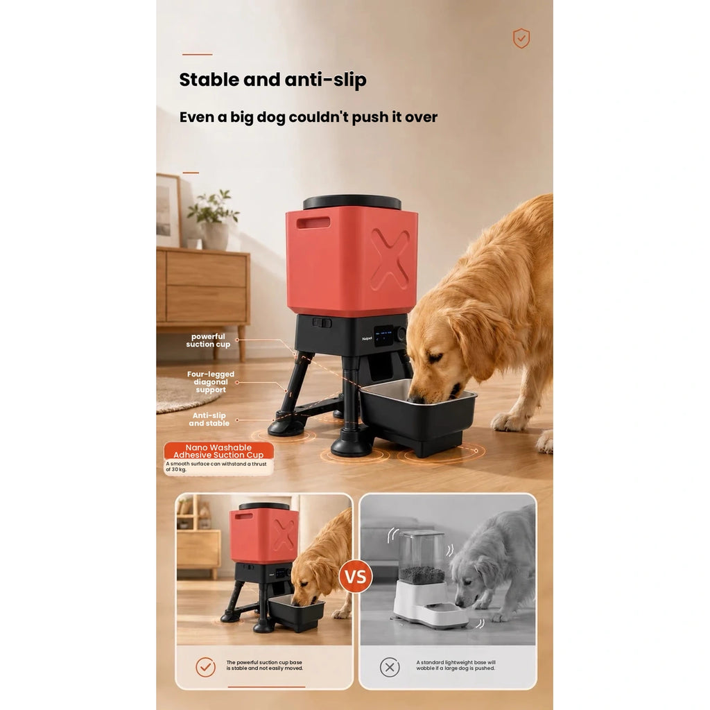 Dog eating beside an automatic food dispenser