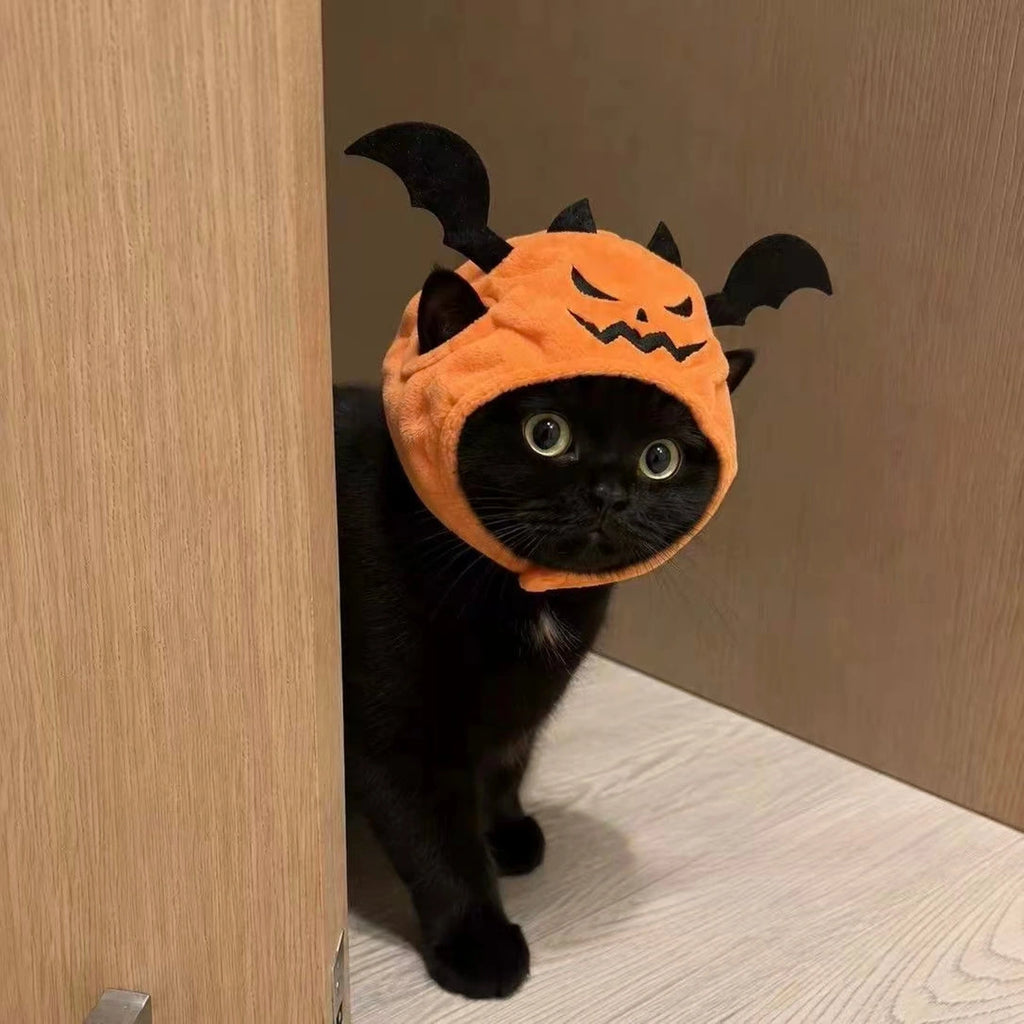 Black cat standing in orange Halloween hat