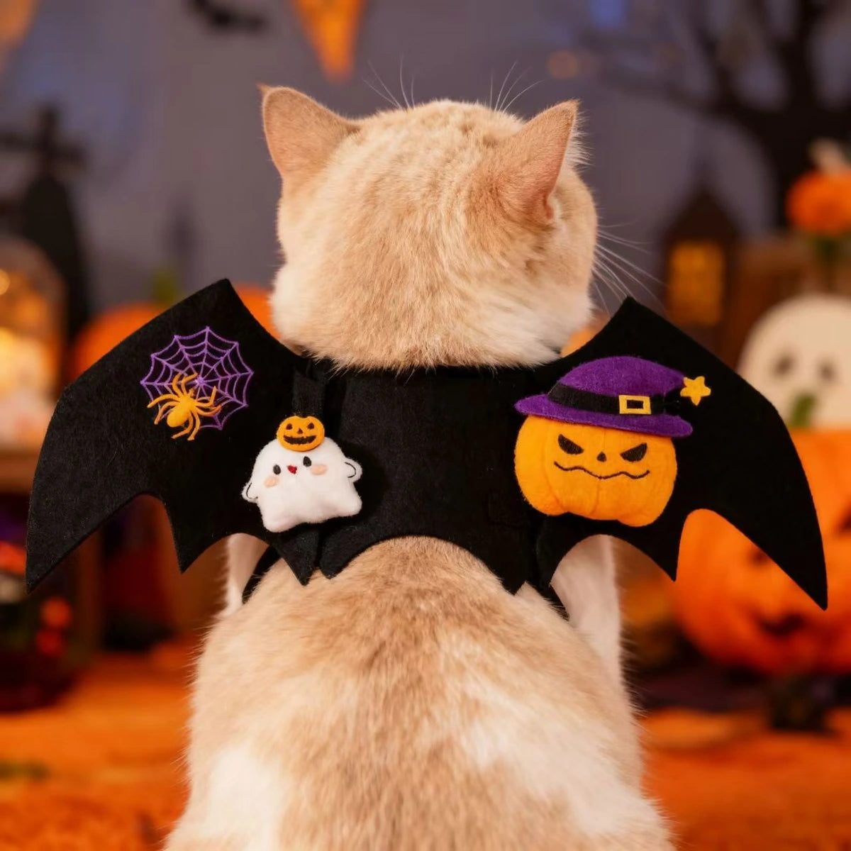 Rear view of cat wearing bat-wing pet costume