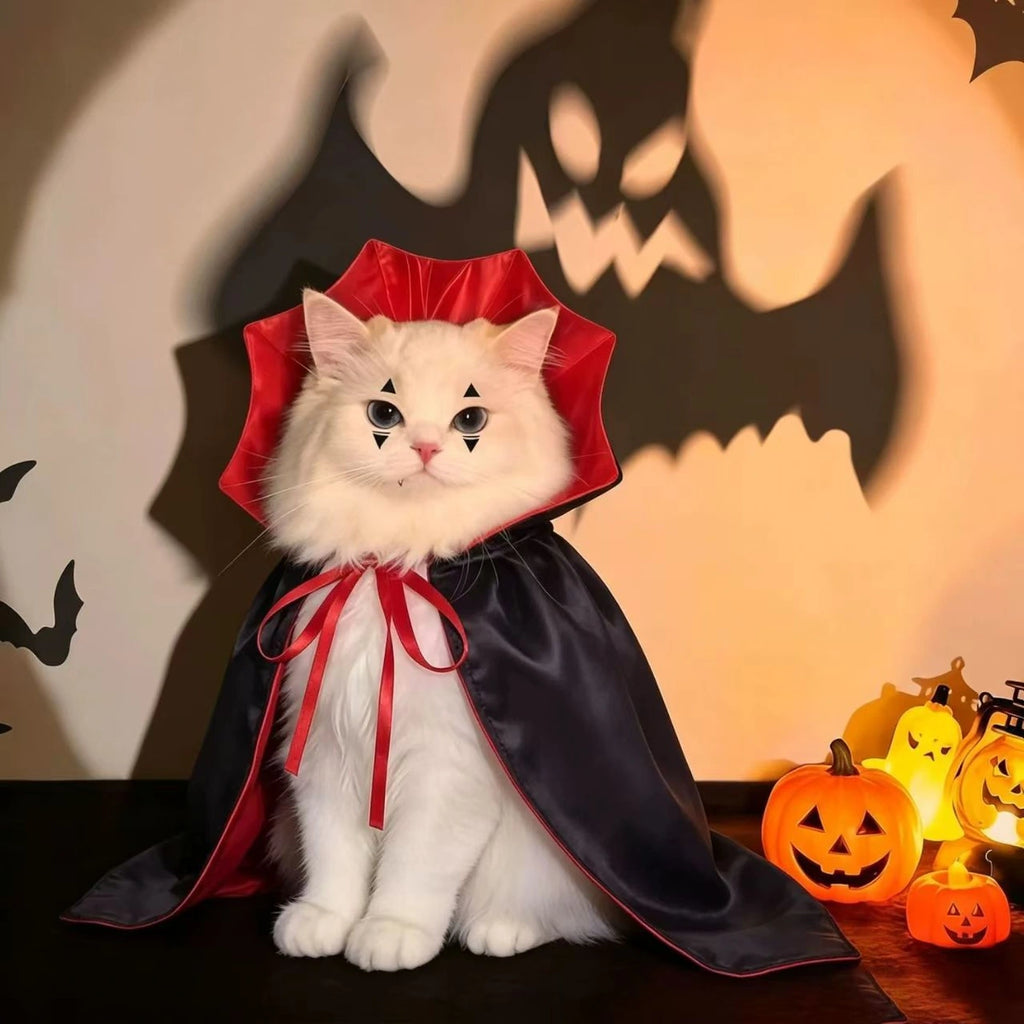 White cat wearing black and red vampire cape