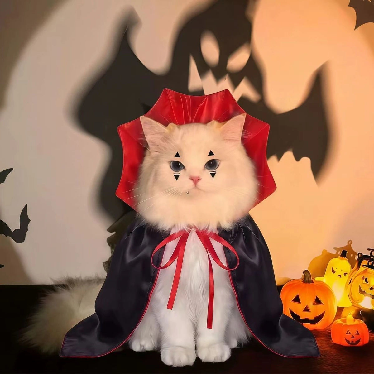 Front view of cat in vampire cape