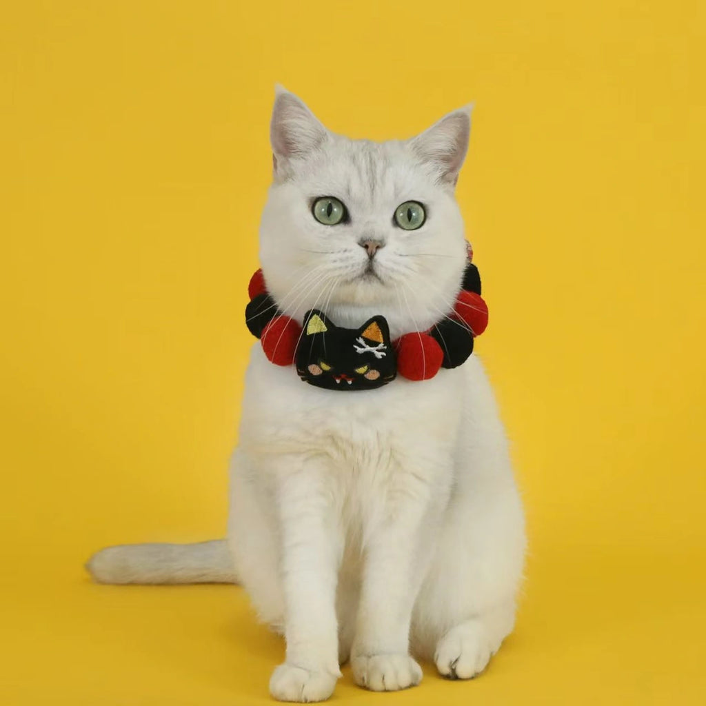 White cat wearing black pumpkin collar