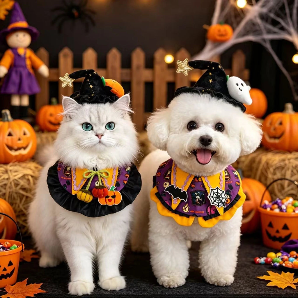 Cat and dog wearing Halloween bib costume