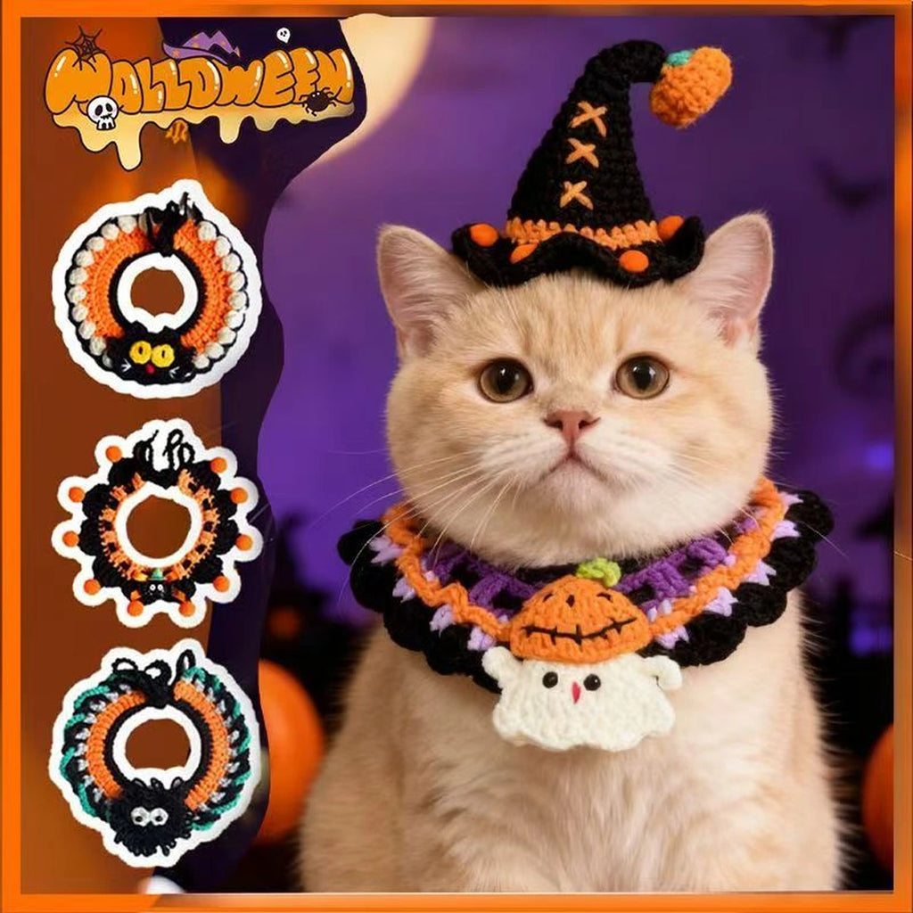 Cat wearing orange Halloween hat and knit collar