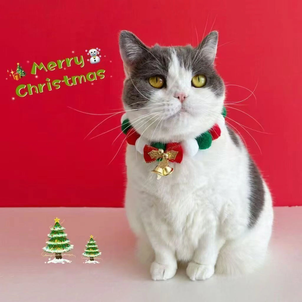 Grey cat wearing festive pom-pom collar