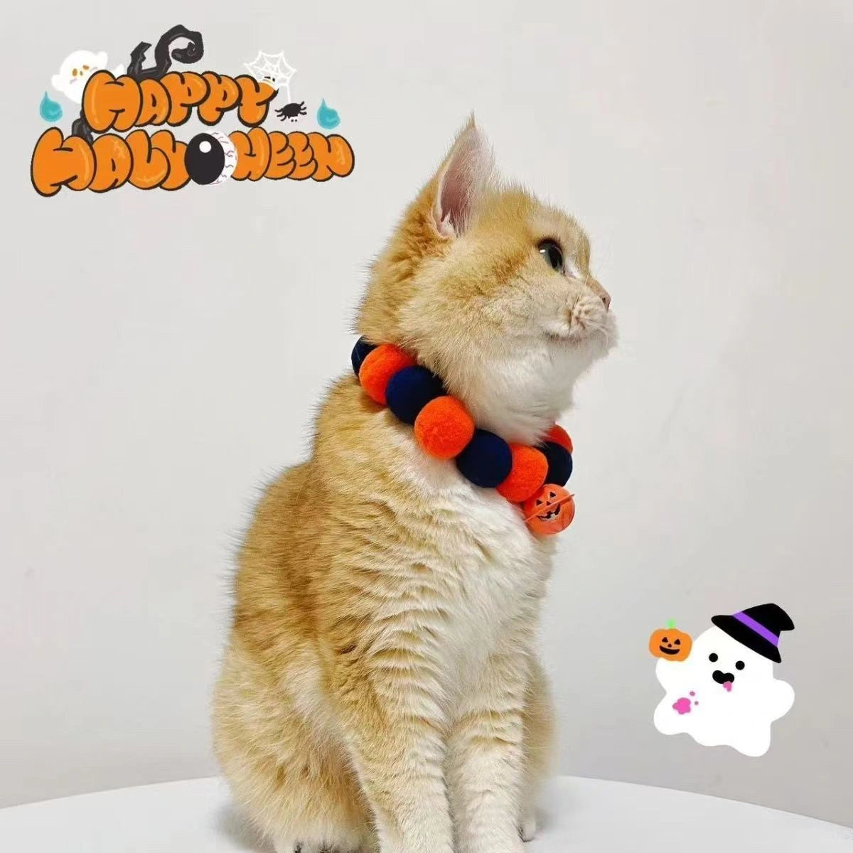 Orange cat wearing Halloween pom-pom collar