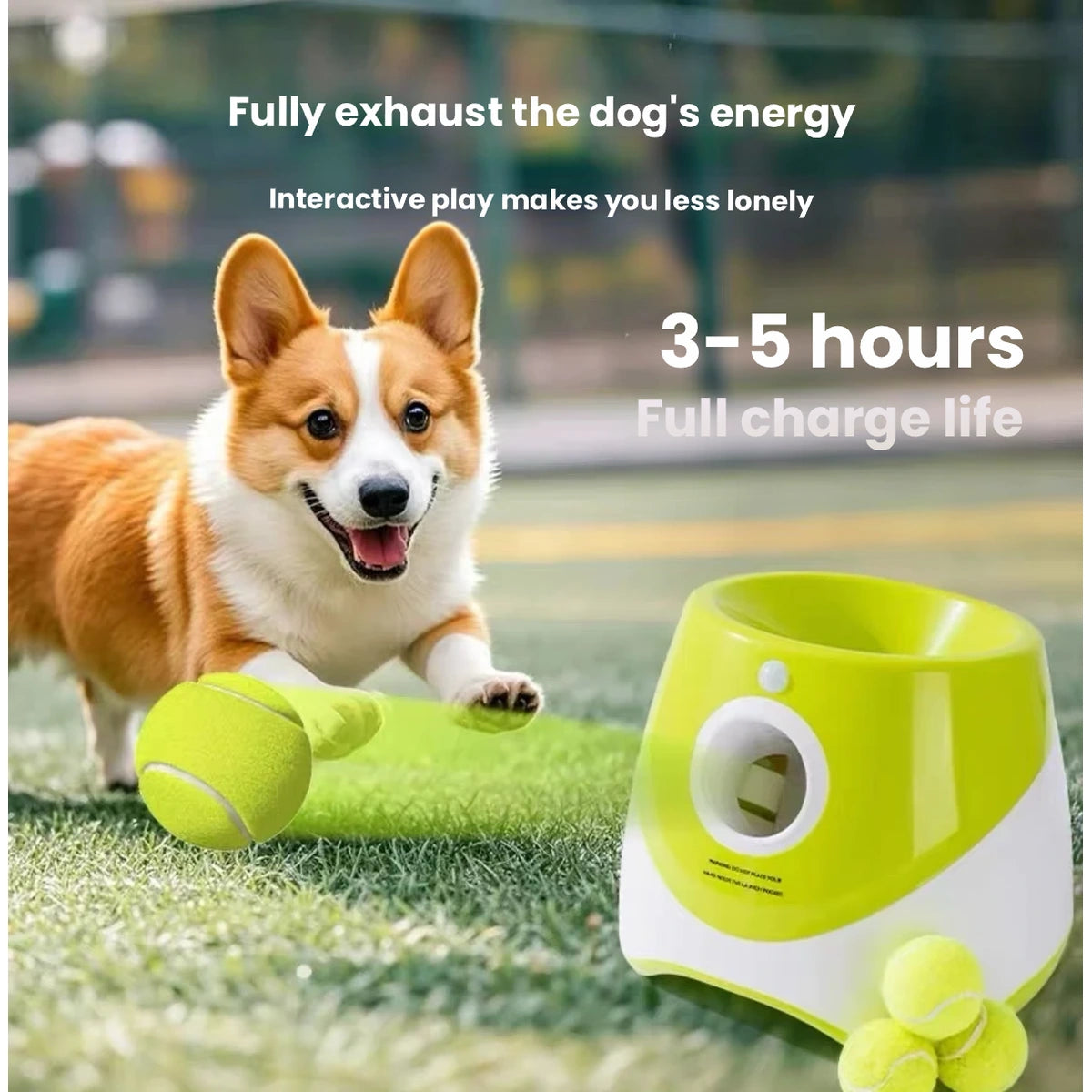 Dog beside lime automatic ball launcher outdoors