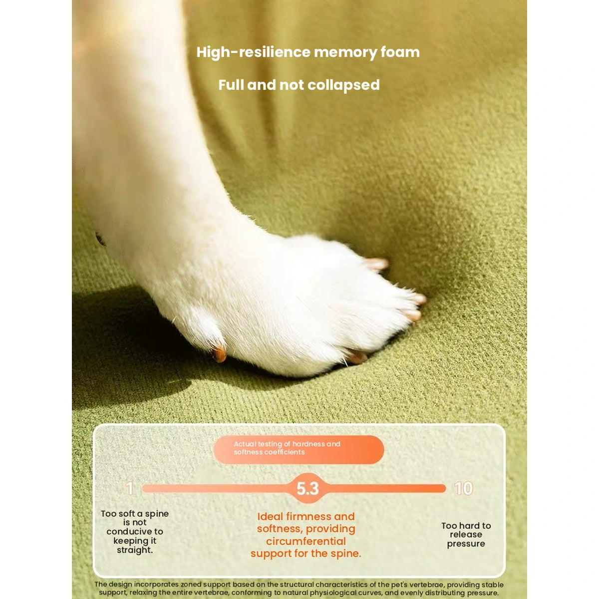 Close view of dog paw on soft green bed fabric