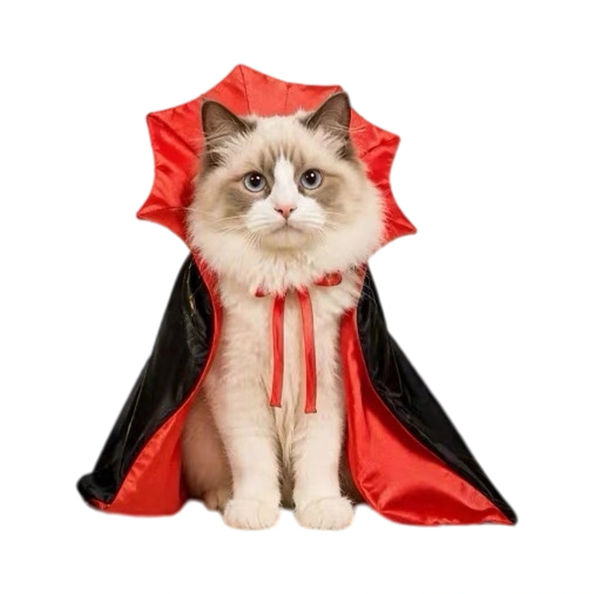 Cat wearing red and black Vampire Cape costume