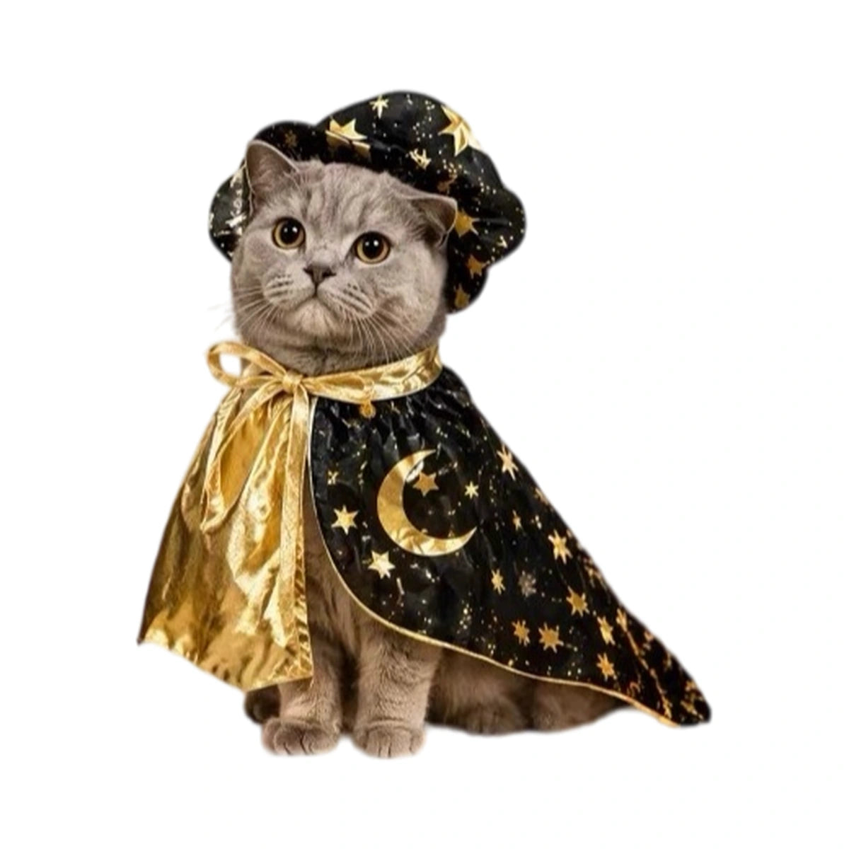 Grey cat wearing gold and black Wizard Cape with hat