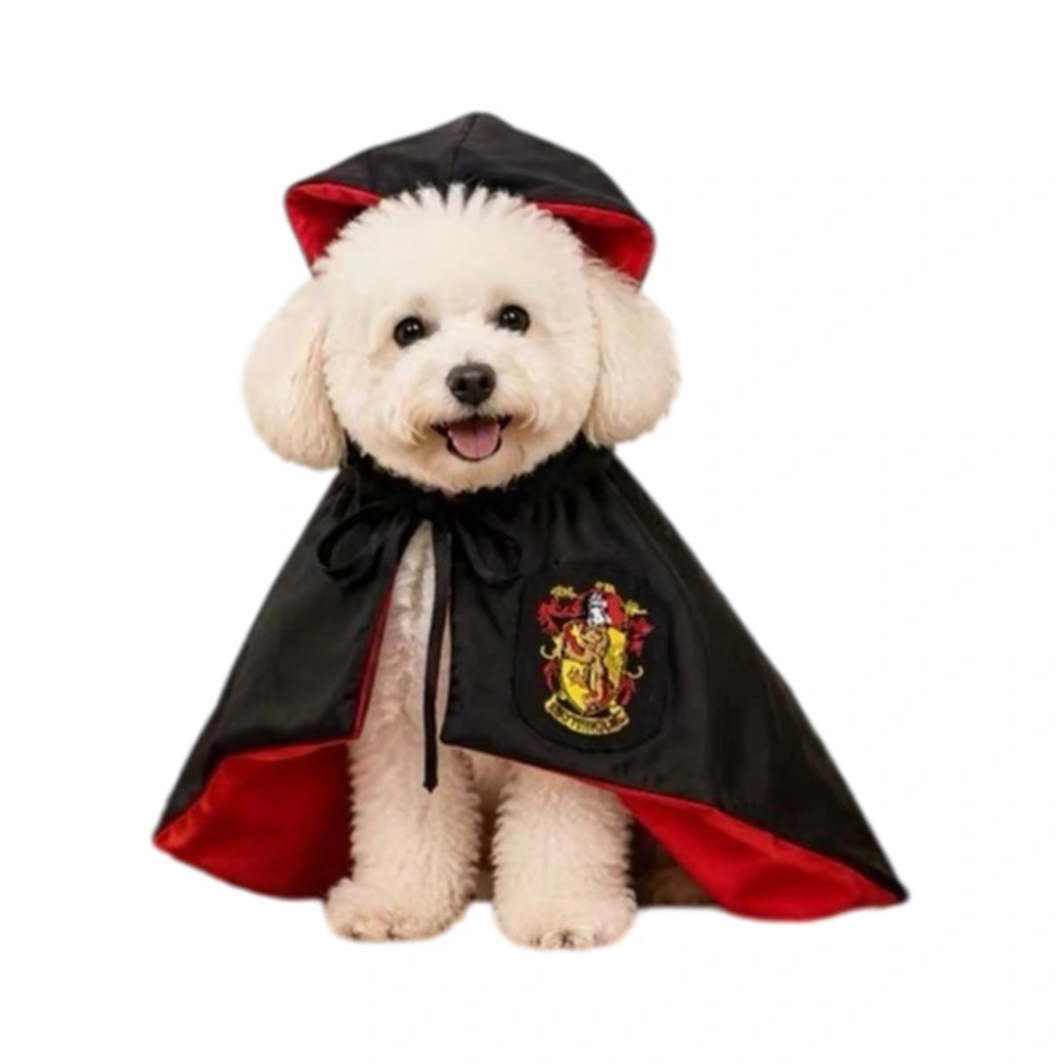 Small dog wearing black and red Academy Cape with crest