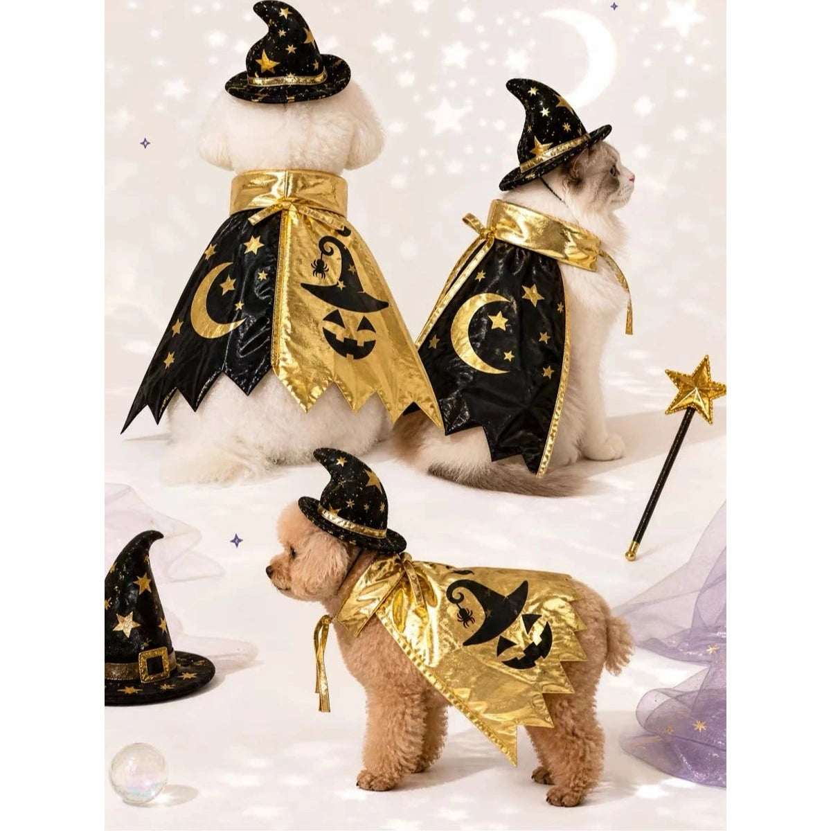 Pets modelling gold Wizard Cape and hat