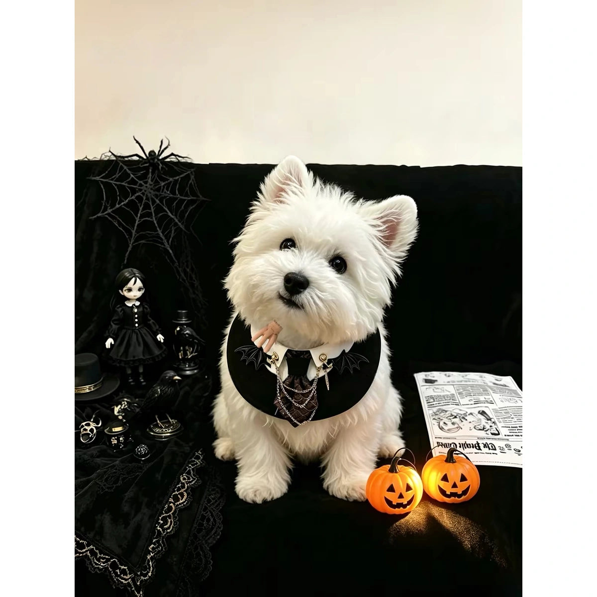 Small white dog wearing black Lulupet gothic bib