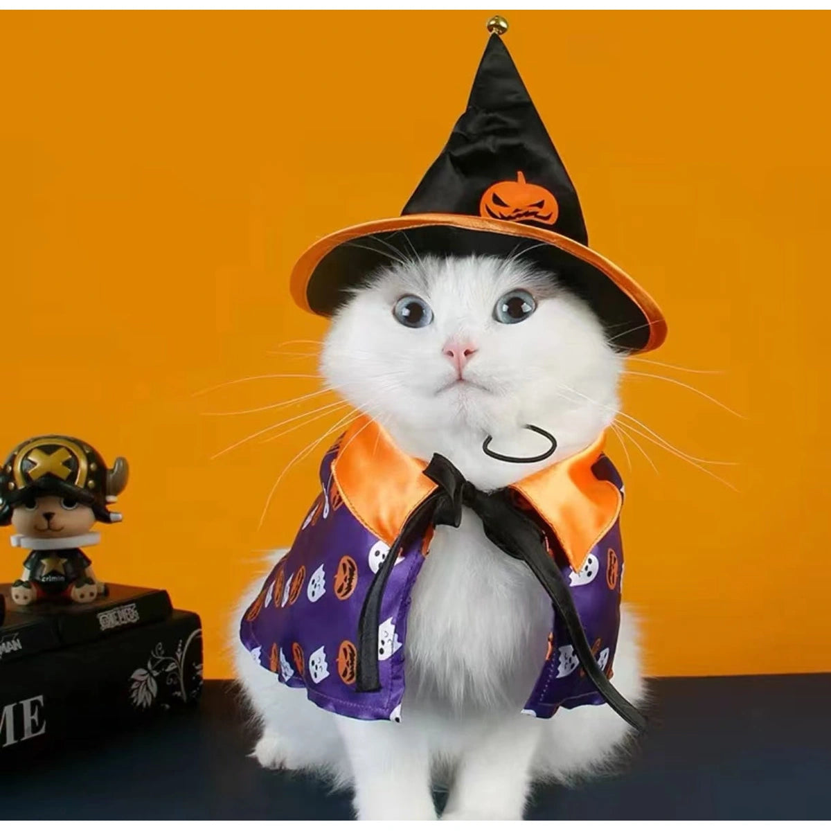 Cat in tall black witch hat and purple costume