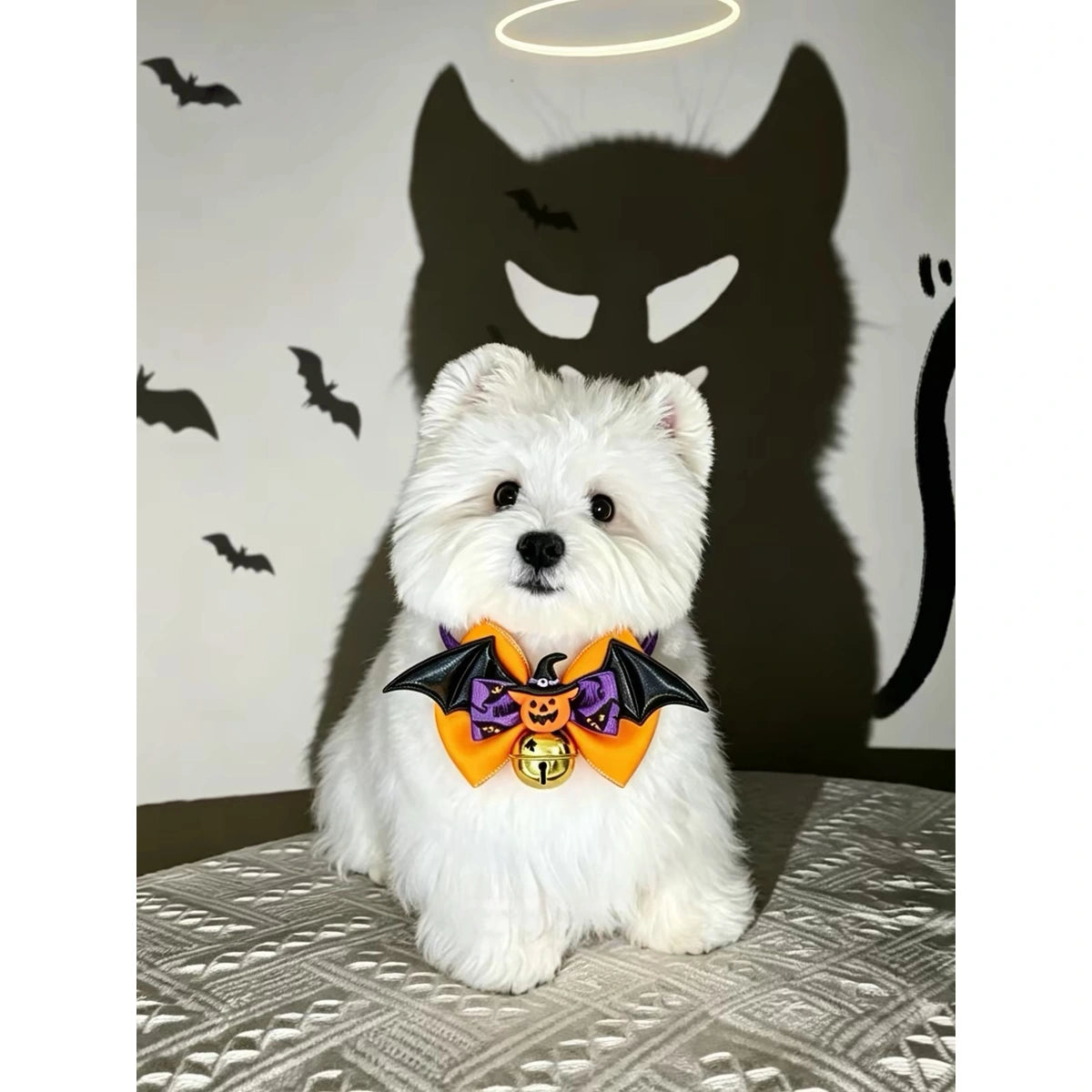 White dog modelling orange bow costume collar