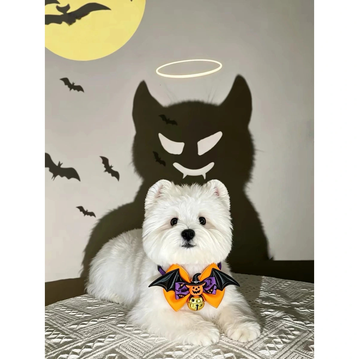 White dog wearing bat-wing bow collar