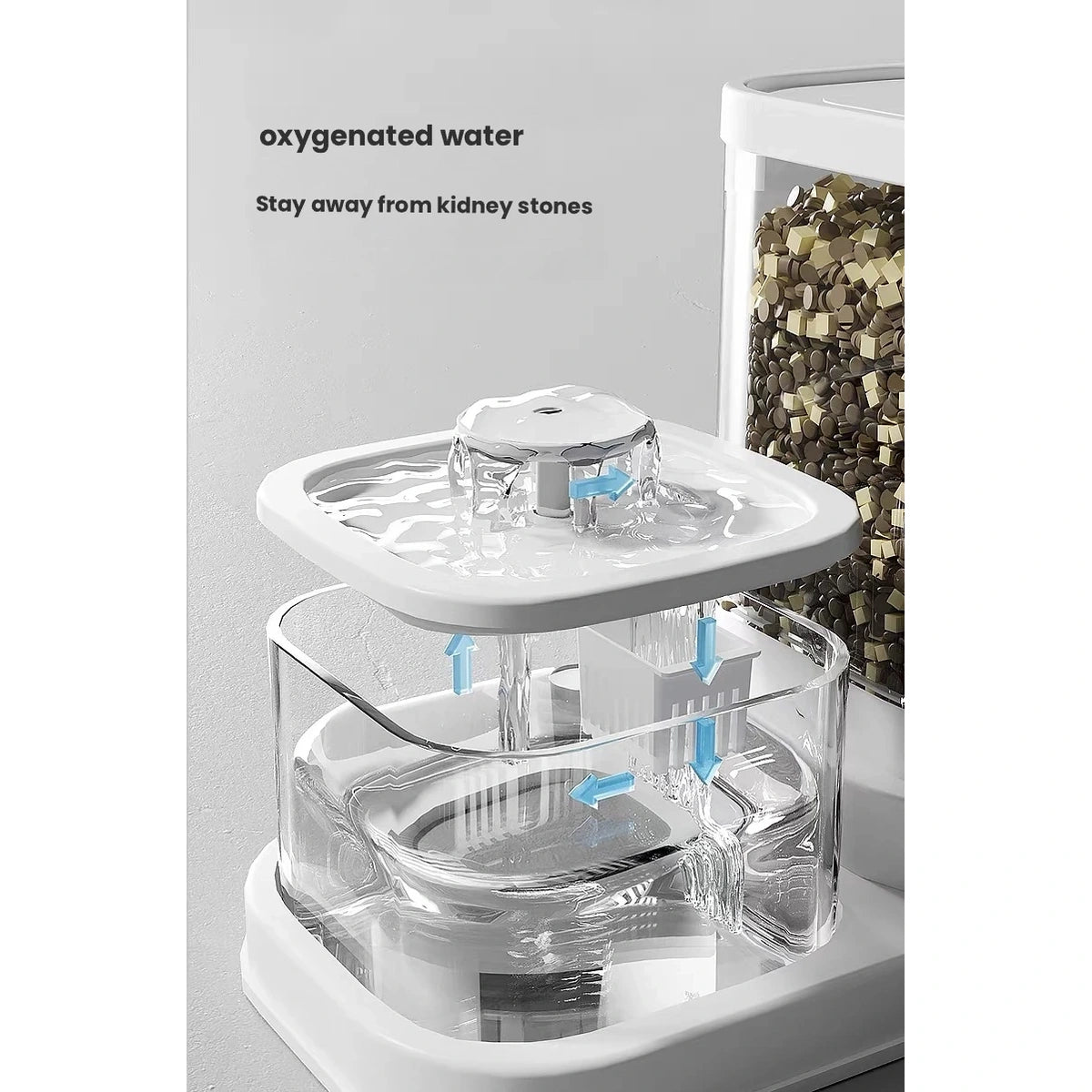 BNBNO water dispenser with transparent reservoir