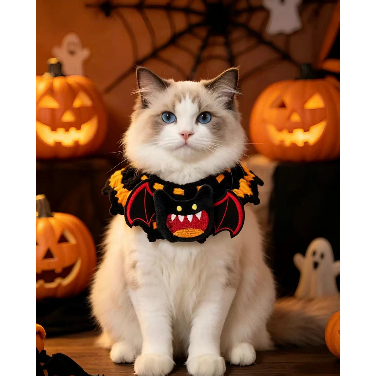 Cat wearing Halloween scarf collar by pumpkins