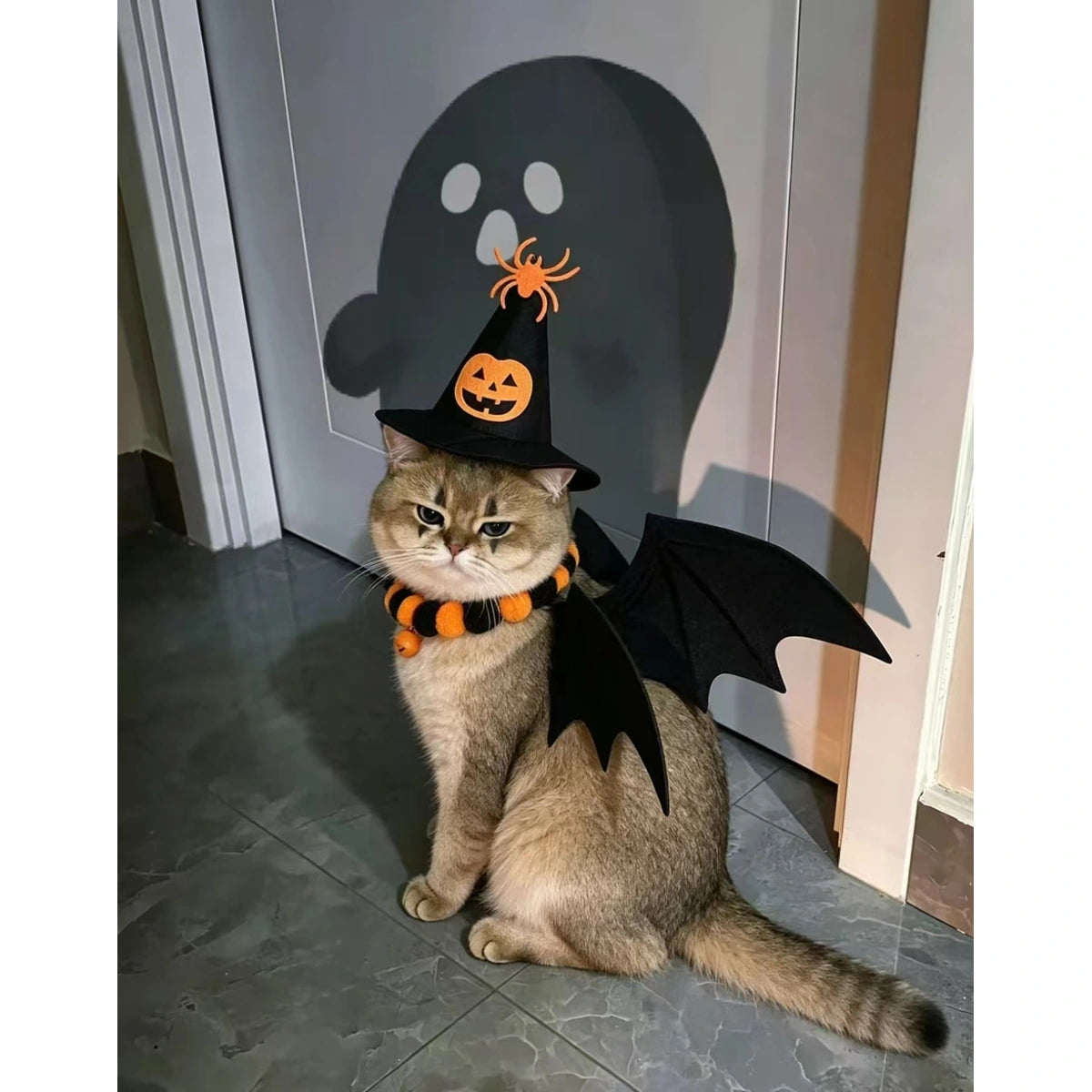 Side view of cat wearing bat-wing costume