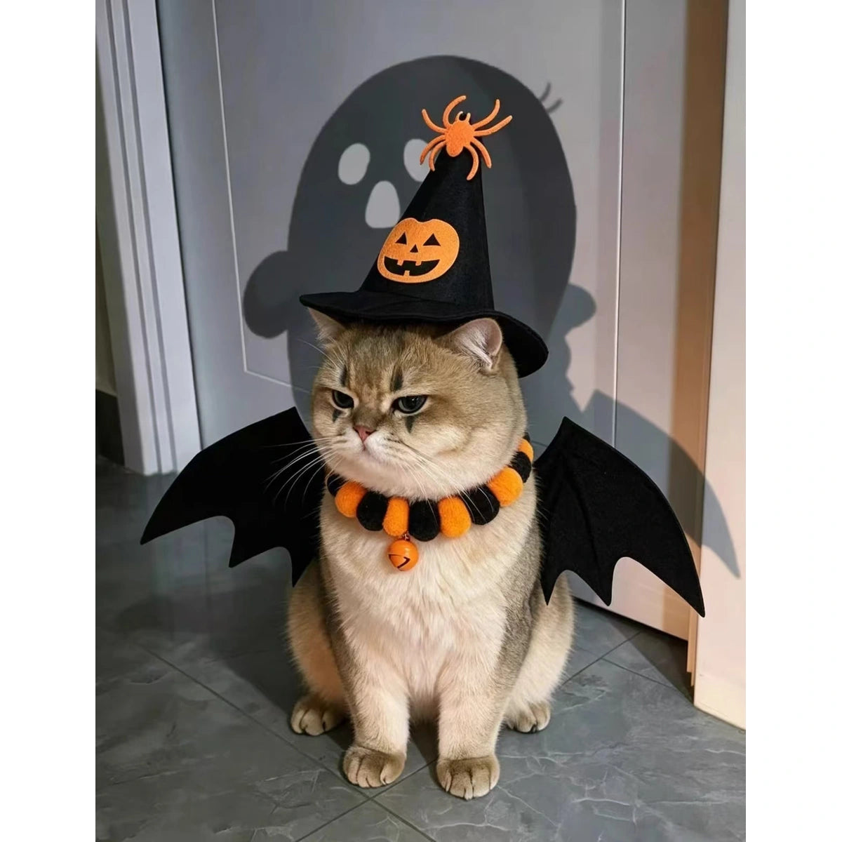 Cat modelling bat wings and witch hat