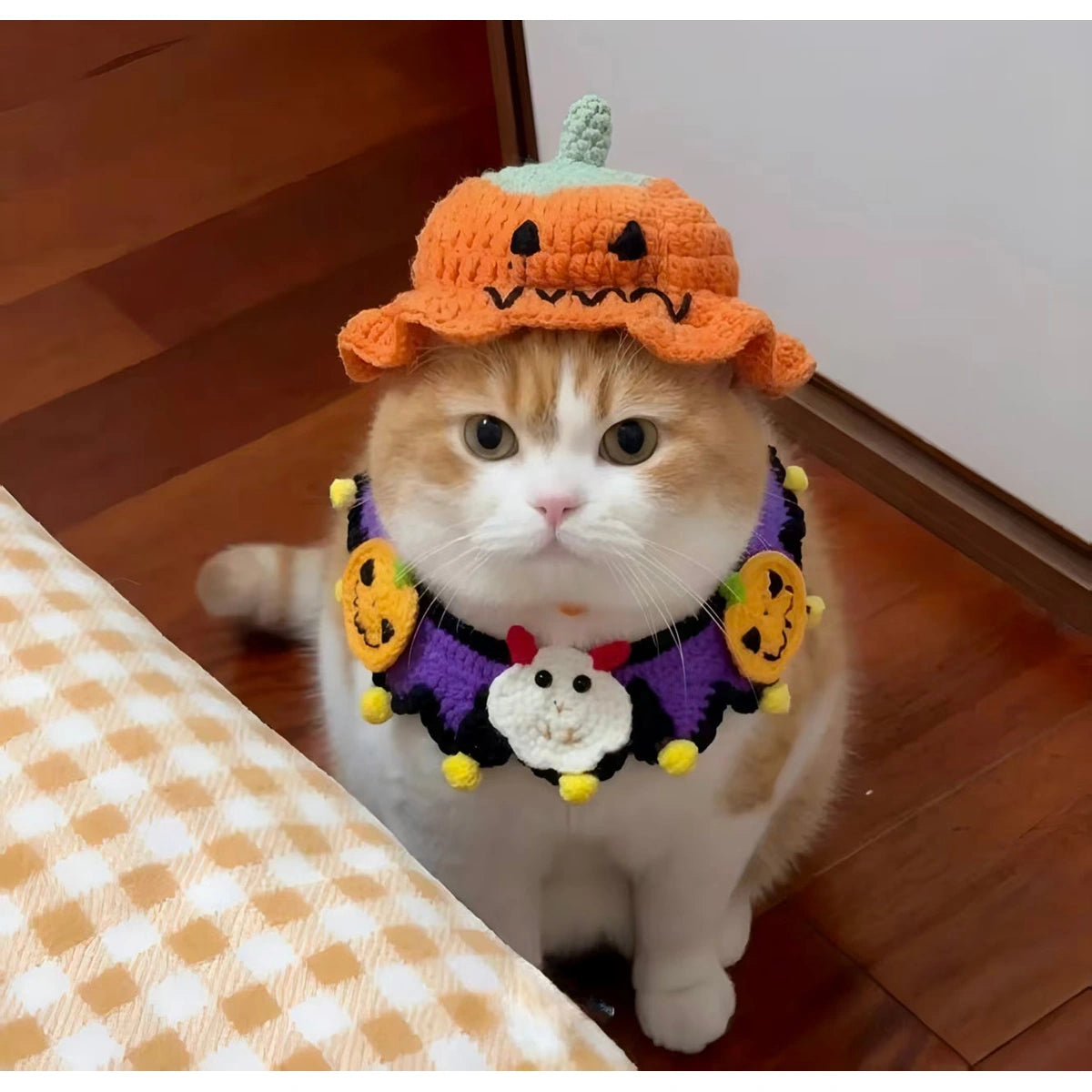 Cat wearing orange knit pumpkin hat and scarf